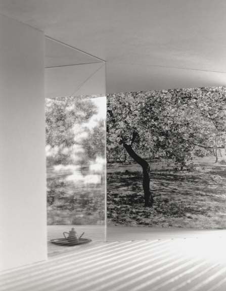 Gallery OUT of PLACE │ 寺田 真由美 │ Mayumi TERADA